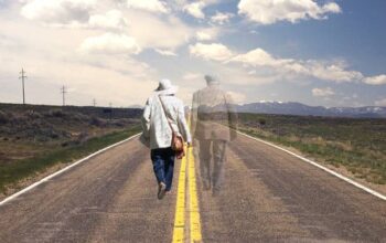 חלוקת ירושה בין אחים